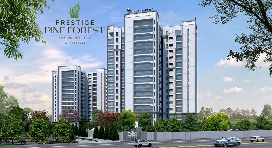 Prestige Pine Forest